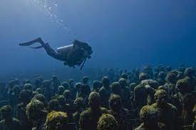 Most diving organizations offer special children's courses in shallow, controlled conditions for kids aged 8 and above, and allow children 10 and older to enroll in scuba certification courses. Cancun Scuba Diving And Snorkeling 10best Mexico Scuba Reviews