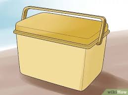 3 Manieres De Empecher La Glace De Fondre Wikihow