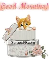 Скачать стоковые фото good morning. Best Anime Good Morning Gifs Gfycat