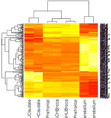 Image result for bioinformatics heatmap