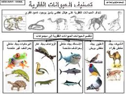 تصنيف الحيوانات الفقرية آلوسكول Science Pour Enfants Lycee Geographie