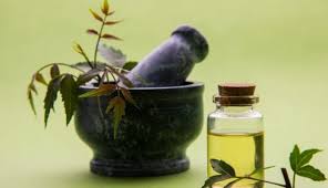 Learn about their benefits, how to use & why use it. 5 Amazing Benefits Of Neem Oil For Your Hair Lifeberrys English Dailyhunt