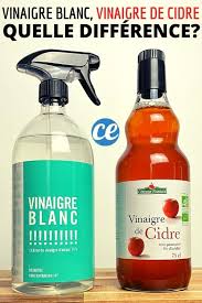 Voici La Vraie Difference Entre Le Vinaigre Blanc Et Le Vinaigre De Cidre