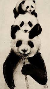 Black And White Panda Wallpaper Black Panda Wallpaper Ios In 2020 Cute Panda Wallpaper Panda Art Panda Wallpaper Iphone
