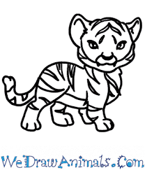 This is a beginners tutorial suitable for kids of all ages. How To Draw A Baby Tiger