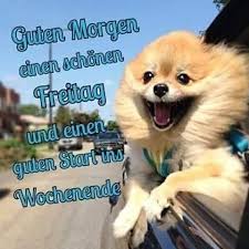 Dieser wird automatisch markiert und du kannst ihn direkt kopieren und ins gästebuch oder auf der gewünschten seite einfügen. Download Lustige Grusse Fur Guten Morgen Free For Android Lustige Grusse Fur Guten Morgen Apk Download Steprimo Com