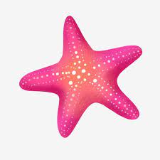 Pin On Cartoon Starfish