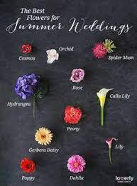 Dawn's bridesmaids carried pretty purple bouquets featuring roses, dahlias, allium, and more. 460 June Wedding Flowers Ideas Wedding Flowers June Wedding Flowers Wedding