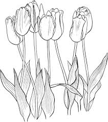 Download or print easily the design of your choice with a single click. Seven Tulips Coloring Page From Tulip Category Select From 26388 Printable Crafts Of Cartoons Na Flower Coloring Pages Flower Line Drawings Painting Patterns