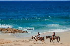 Horseback riding expeditions and custom adventures are our specialty. The Top 10 Baja California Sur Horseback Riding W Prices