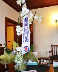 Nesat Gundogdu Adli Kullanicinin Nstg Panosundaki Pin