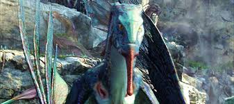 Dragon Training 101 The Skrill School Of Dragons How To Train Your Dragon Games