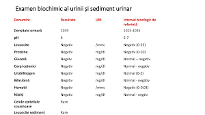 Explorarea Funcțională Renală Ppt Katebasma