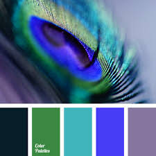 Luckily, the peacocks shed their train every year after mating season, so the feathers can be gathered and sold without the birds coming to any harm. Colors Of Peacock Feathers Color Palette Ideas