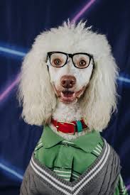 Angela Ager (@angela.race.ager) • Facebook, Connect with friends