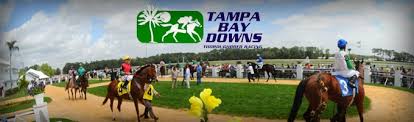 Saturday's picks from aqueduct and tampa bay downs. Tampa Bay Downs Race Track History Stakes Schedule Twinspires