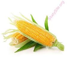 Common homonyms or pair of… continue reading. English To Hindi Dictionary Meaning Of Corn In Hindi Is à¤…à¤¨ à¤œ à¤­ à¤Ÿ à¤Ÿ à¤— à¤¹ à¤®à¤•à¤ˆ à¤¯ à¤¦ à¤¨ à¤¯ à¤…à¤¨ à¤œ à¤• à¤ª à¤¡ à¤¶à¤° à¤¬ à¤  à¤• à¤¦ à¤¨ à¤¦ à¤° à¤¬à¤¨ à¤¨ à¤¦ à¤¨ à¤®à¤•à¤ˆ à¤¬ à¤œ à¤¦ à¤¨ à¤– à¤² à¤¨ à¤¸ à¤°à¤• à¤· à¤¤