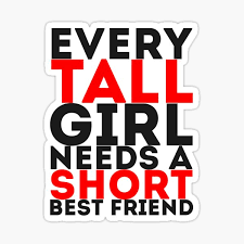 Download Matching Best Friends Stickers Redbubble