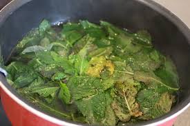 Diy Faire Son Sirop De Menthe Naturelle Bio Pour La Fete Des Peres Sirop De Menthe Sirop De Menthe Maison Menthe