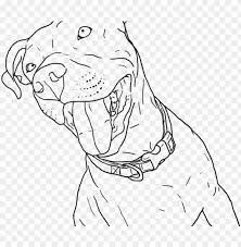 Download and print for free. Drawn Pitbull Realistic Coloring Pages Pitbull Png Image With Transparent Background Toppng