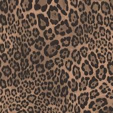 We did not find results for: Cheetah Print Wallpaper Nawpic