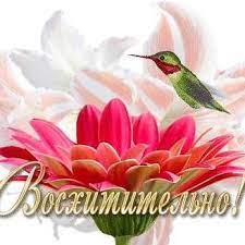 Восхитительно - Home | Facebook