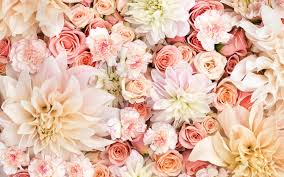 We did not find results for: Floral Wallpaper Airwallpaper Com
