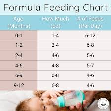 Image result for Formula Feeding