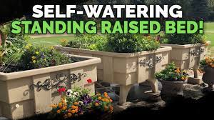 We did not find results for: This 1 500lb Self Watering Raised Bed Is Absolutely Insane Youtube