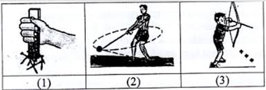 Check spelling or type a new query. Soal Latihan Ujian Sekolah Usp Ipa Sd Mi 2020 Dan Kunci Jawaban Idn Paperplane