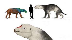 All Todays Elephant Seal The Titan Carnivora By Dragonthunders Horse Species Elephant Seal Creature Concept Art