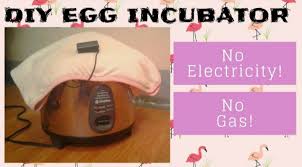 Weren't), you can close all the vents, add a hot water bottle if you. Homemade Egg Incubator No Gas No Electricity Backyard Chickens Learn How To Raise Chickens