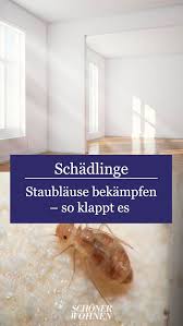 Schließlich wird das vorkommen der tiere in küche oder schlafzimmer allgemein als zeichen mangelnder hygiene gewertet. Staublause Bekampfen So Geht S Schadlinge Im Haus Lause Wohnung Finden