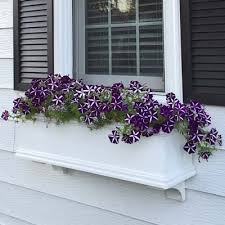 I'm grouchy as a snake this evening after opening an envelope from my homeowners insurance company to discover they have increased my annual premium by another. Window Boxes Flowerwindowboxes Com 36 Charleston Pvc Self Watering Window Box No Rot W 2 Brackets Patio Lawn Garden