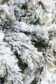 How To Flock A Christmas Tree Artifical Christmas Tree Christmas Tree With Snow Cool Christmas Trees