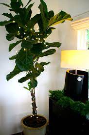 Merry Christmas Trace Fairy Lights Christmas Home Christmas Lights