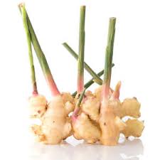 Baland & langebartels is mainly concerned with managing the brands and the direct distribution in the lüneburger heide and also in and around celle. Ingwer Bzfe