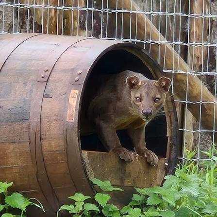 Fife Zoo - Fife Zoo added a new photo.