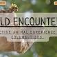 WILD ENCOUNTERS