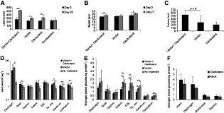 Enhanced Efficacy Following Liver Targeted Gene Therapy Plus Download Scientific Diagram