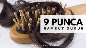 Jimat sebab dengan 1 produk tp ada pelbagai. 9 Punca Dan Sebab Rambut Selalu Gugur Ziana Eunos
