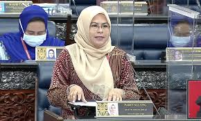 Noraini, ilk olarak 2008 genel seçimlerinde görevdeki syed hood syed edros'un yerine federal parlamento'ya seçildi. Sfwp86ibohi39m