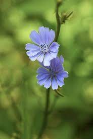 Pin On Nature