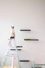 Shop wayfair for the best cat climbing shelves. How To Build Cat Shelves That Your Cat Will Love Brooklyn Farm Girl