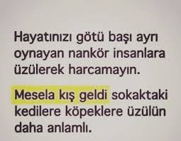 E Yane Guzel Soz Hayat Yazar Sozleri