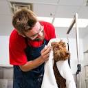 Dog Grooming | Camp Bow Wow Wake Forest