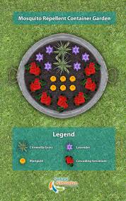Mosquito Repellent Container Garden Mosquito Repelling Plants Garden Containers Lawn And Garden