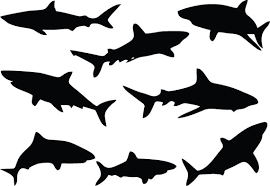 Black And White Shark Stickers Shark Decals Page Multiple Shark Decals Small Shark Etsy Shark Silhouette Silhouette Clip Art Shark Images