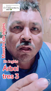 Arbol Familiar En Ingles