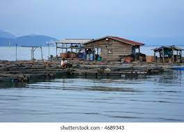 Compare batu maung stays with free cancellation and real guest reviews and ratings! Kelong Batu Maung Penang Stock Photo Edit Now 4689343